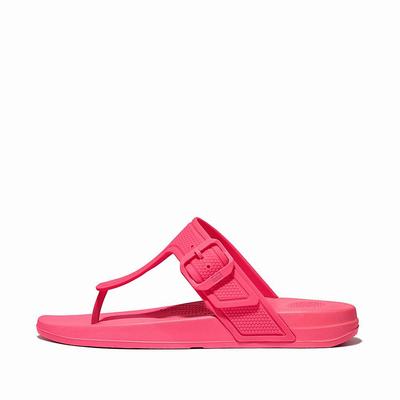 Tong Fitflop IQUSHION Adjustable Buckle Femme Rose | RKQ-465981