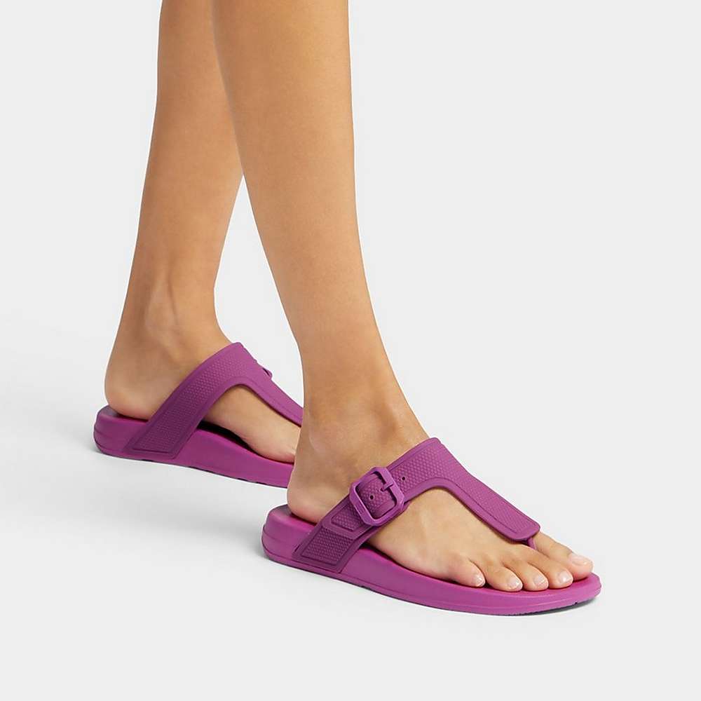 Tong Fitflop IQUSHION Adjustable Buckle Femme Violette | IXF-804931