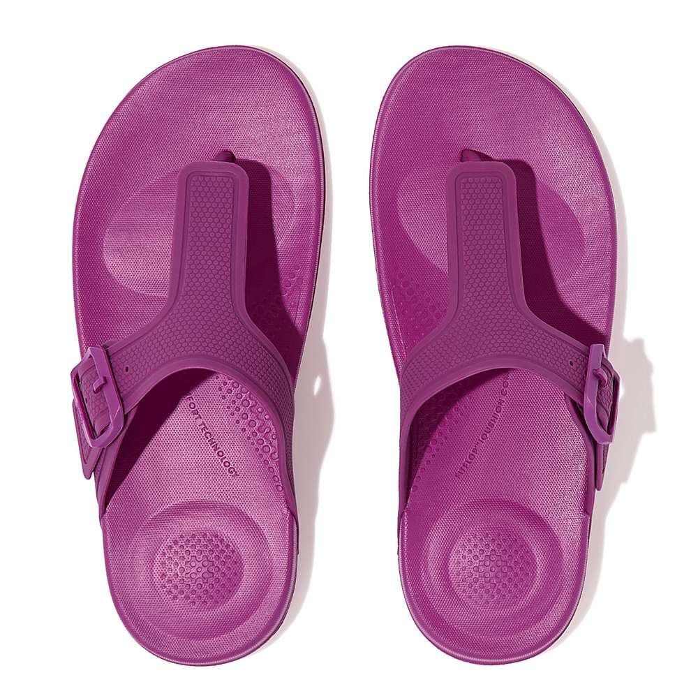 Tong Fitflop IQUSHION Adjustable Buckle Femme Violette | IXF-804931