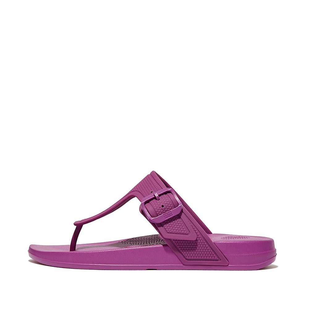 Tong Fitflop IQUSHION Adjustable Buckle Femme Violette | IXF-804931